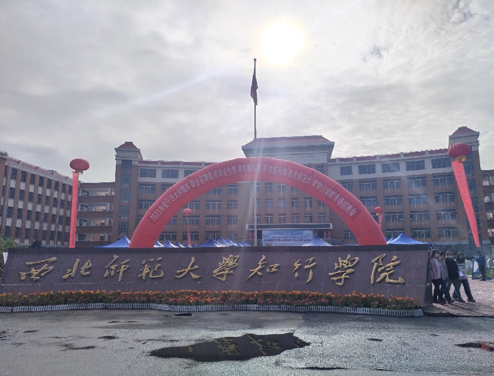 案例展示二